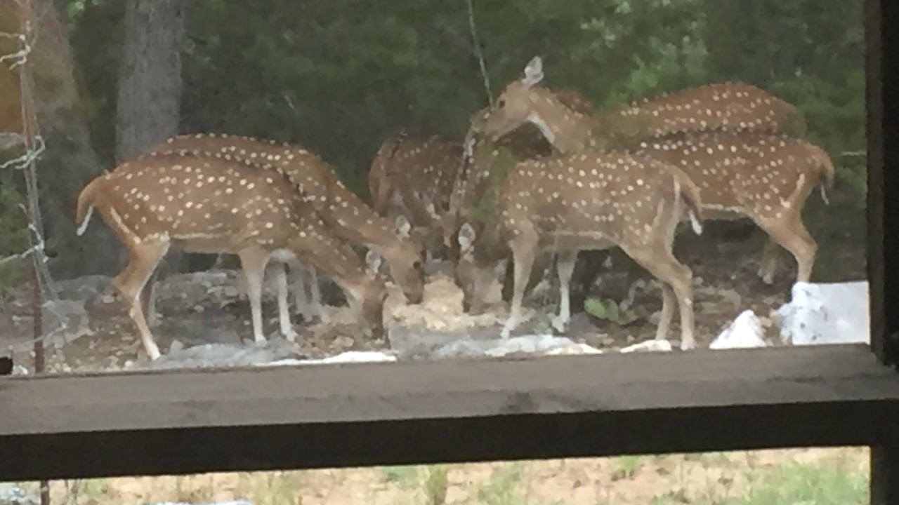 Photo of Outdoor in Hunt