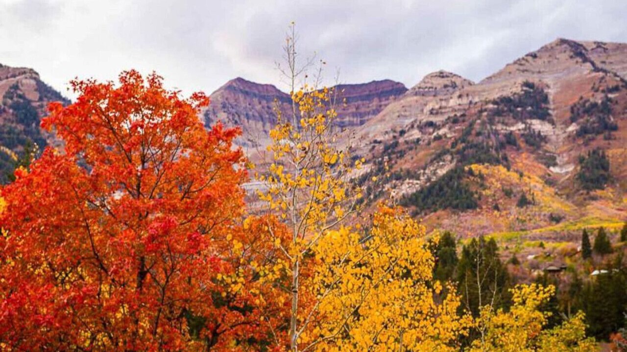 Photo of Others in Sundance