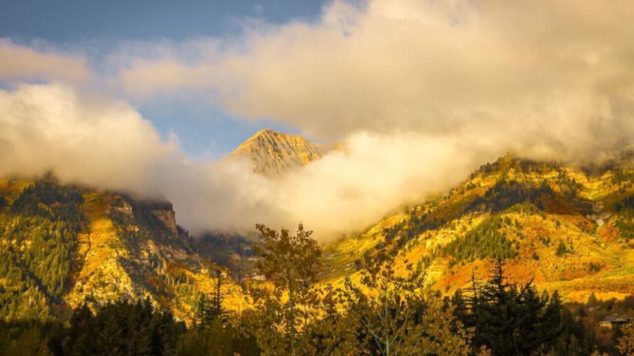 Photo of Others in Sundance