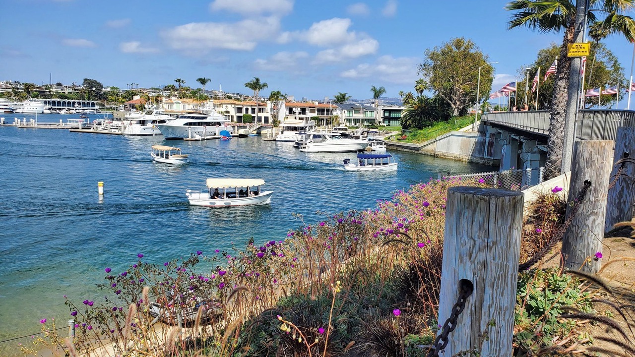 Photo of Others in West Newport