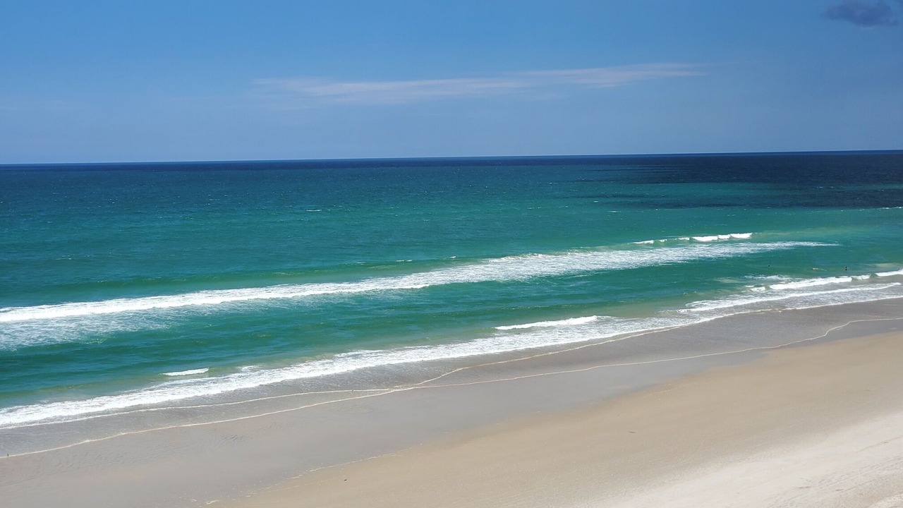 Photo of Others in New Smyrna Beach