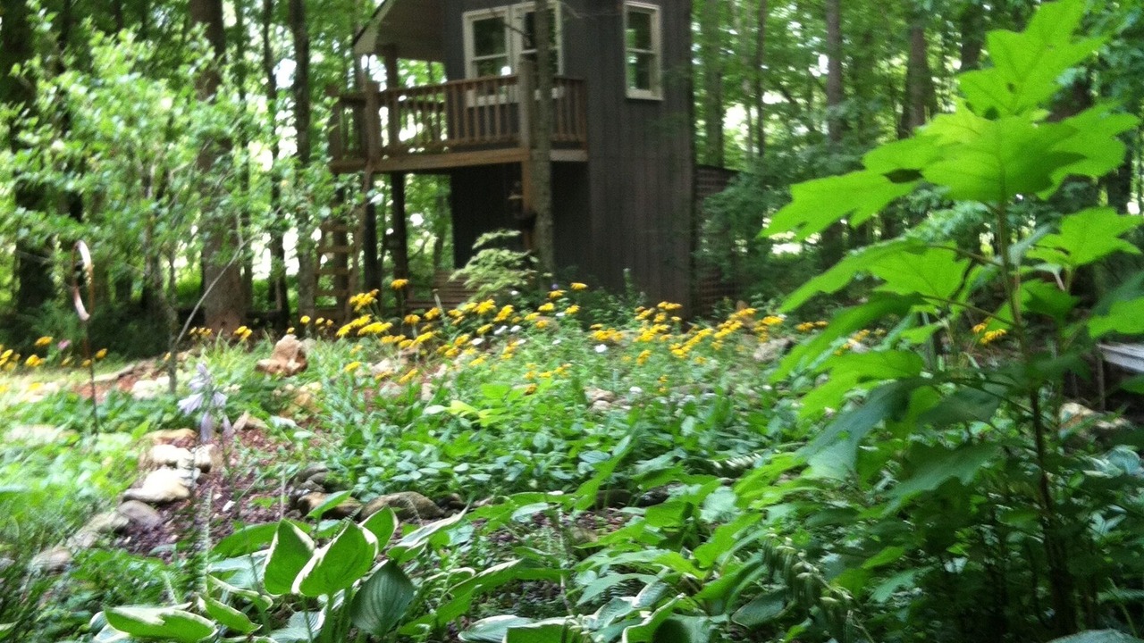 Photo of Others in Hayesville