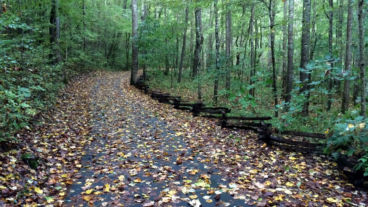 Photo of Others in Hayesville