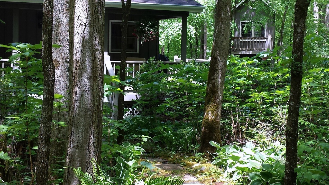 Photo of Outdoor in Hayesville