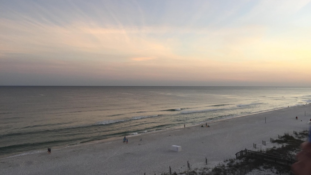 Photo of Others in Orange Beach East
