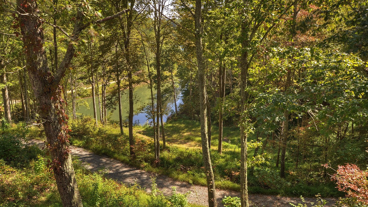 Photo of Outdoor in Turtletown