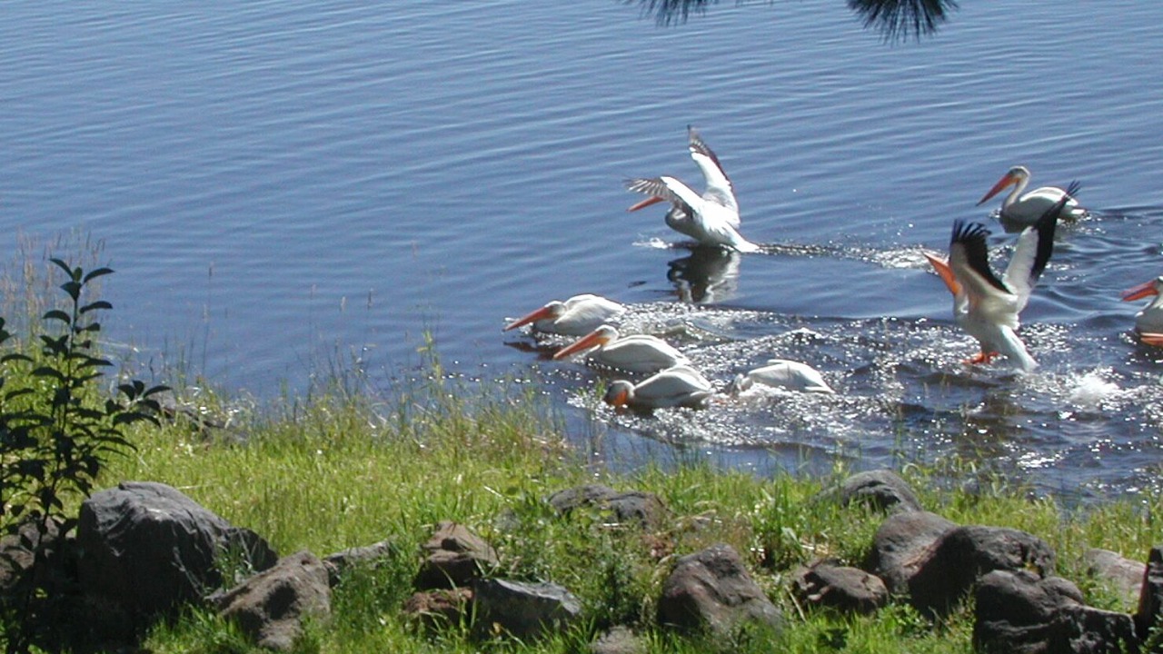 Photo of Outdoor in Downtown Klamath Falls
