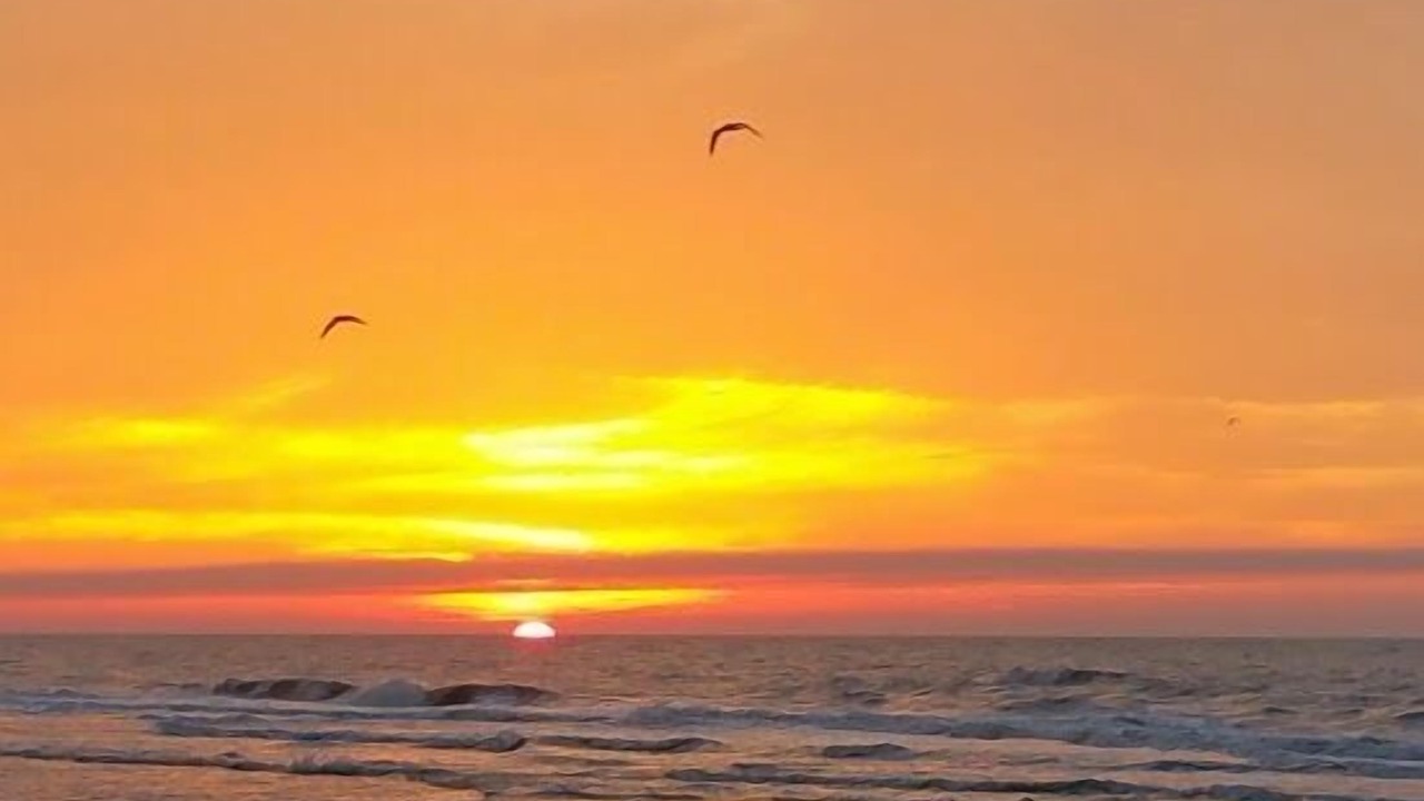 Photo of Others in Hilton Head Island