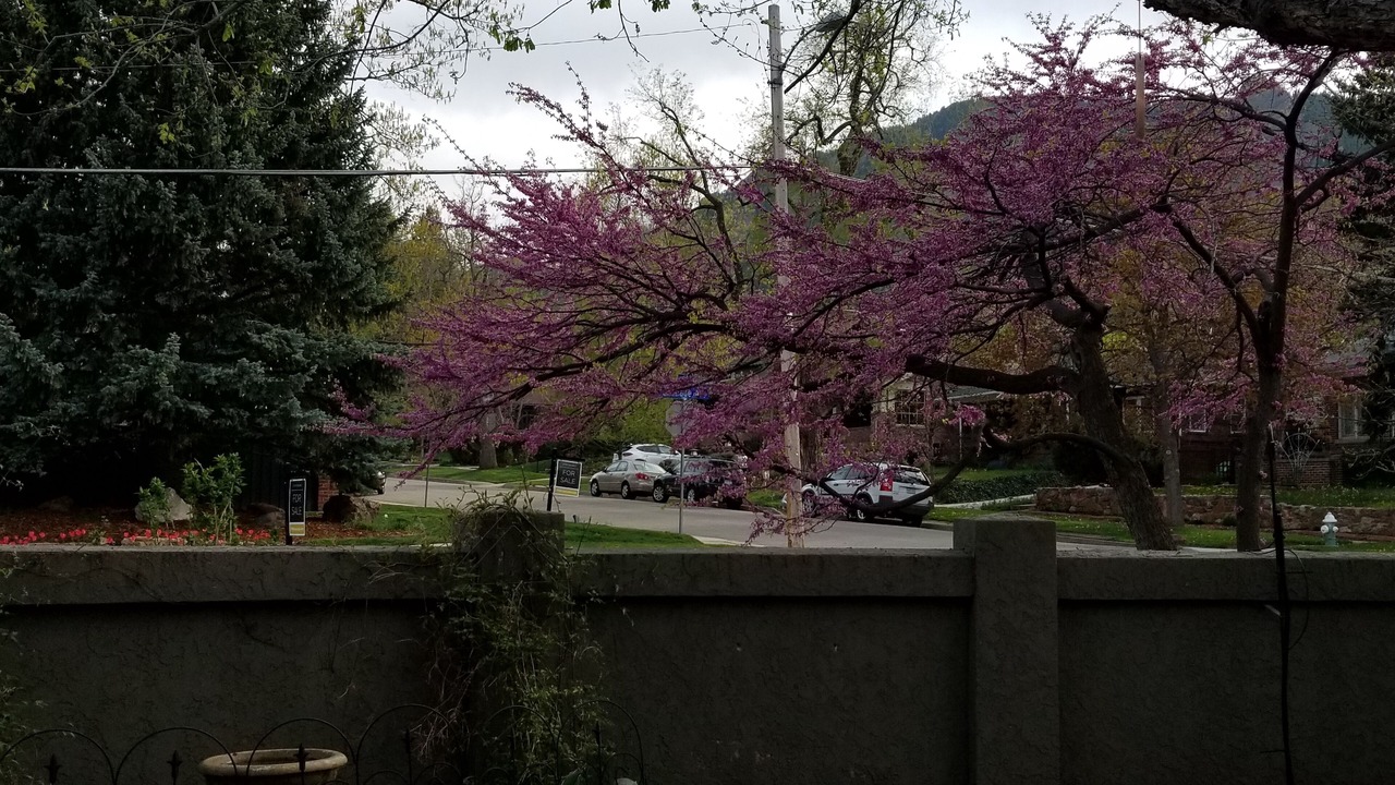 Photo of Outdoor in Lower Chautauqua
