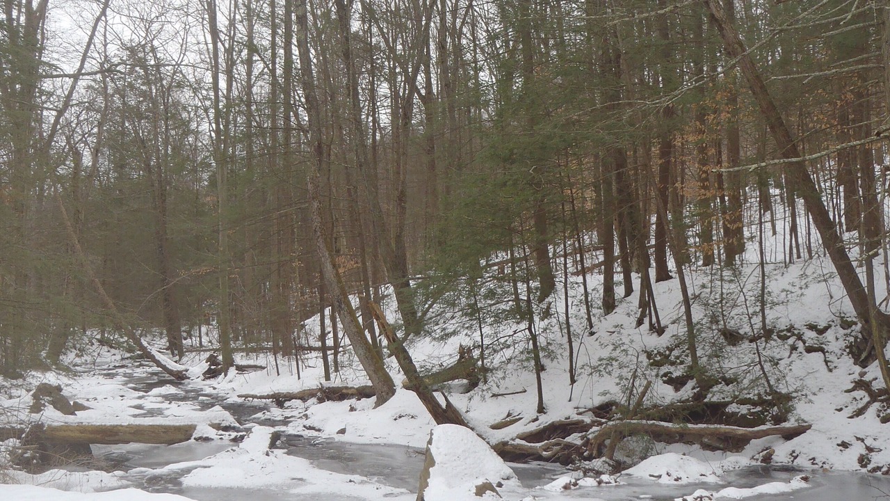 Photo of Others in Fairfield