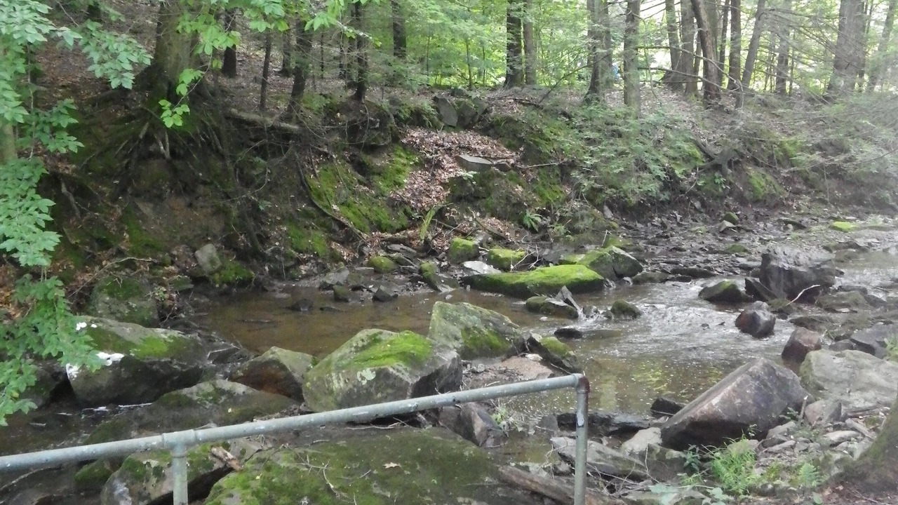Photo of Others in Fairfield