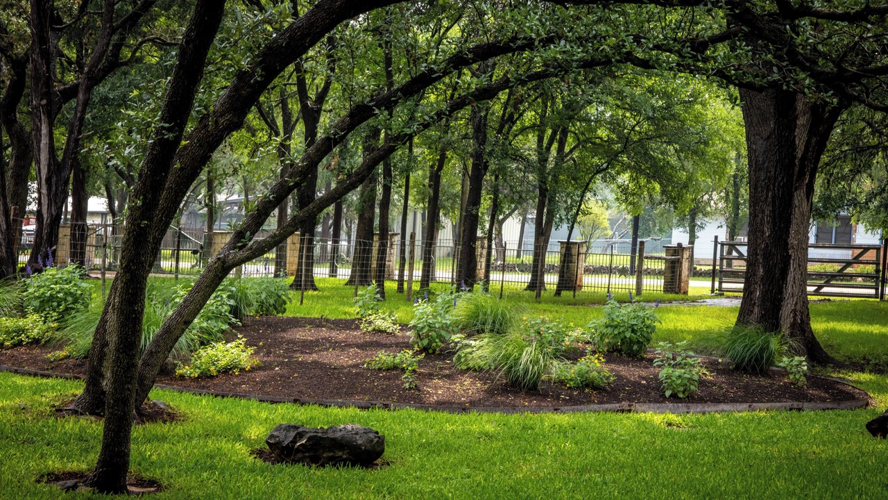 Photo of Outdoor in New Braunfels
