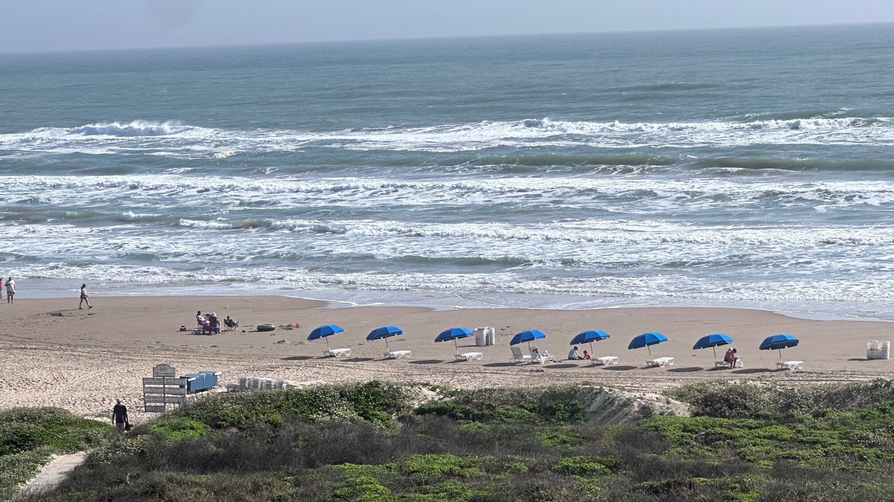 Photo of Others in South Padre Island