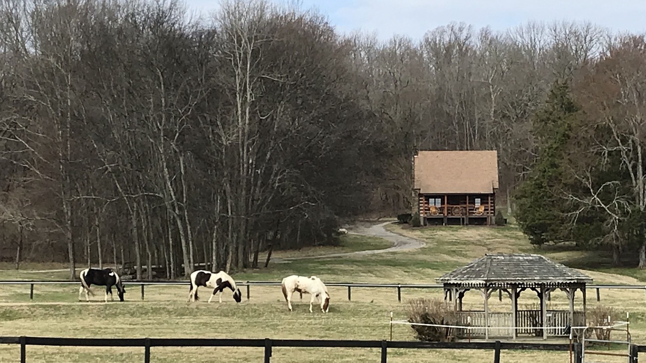 Photo of Outdoor in Lewisburg