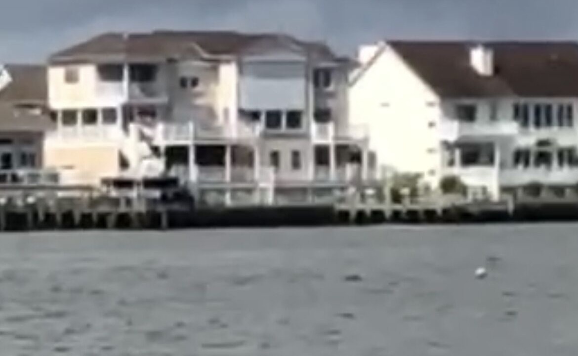 Photo of Others in Ocean Pines