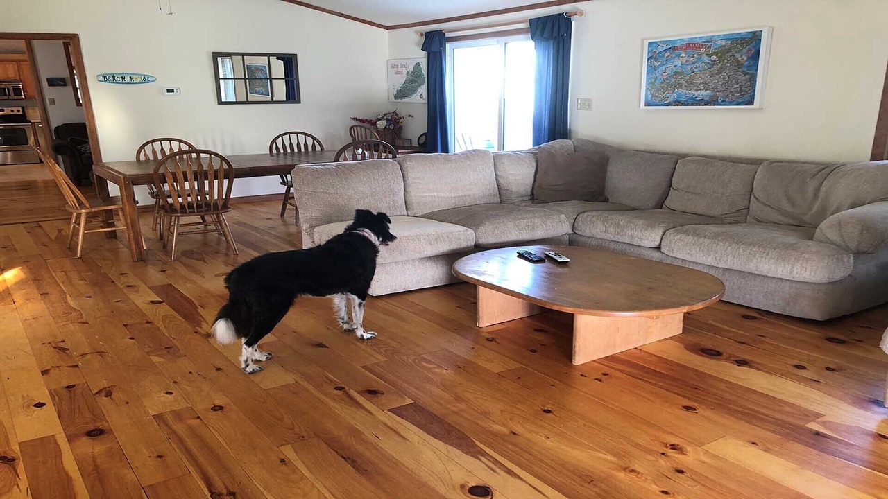 Photo of Livingroom in Ocean Pines