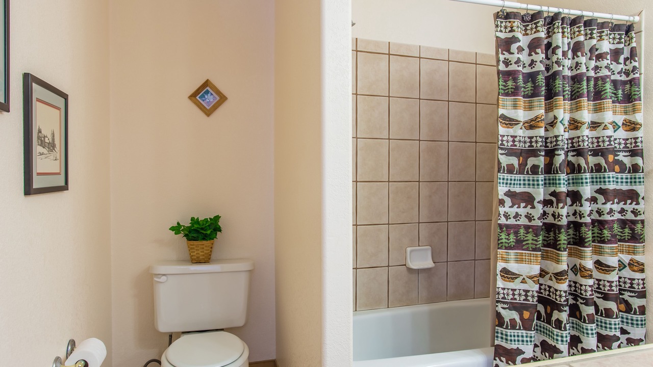 Photo of Bathroom in Florissant