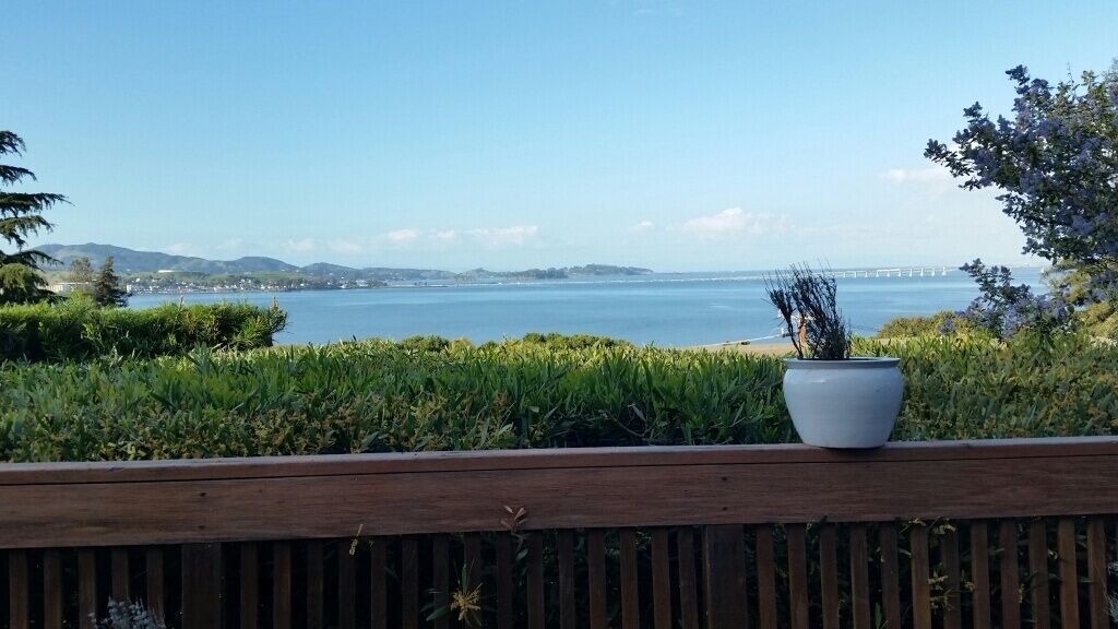 Photo of Others in Tiburon