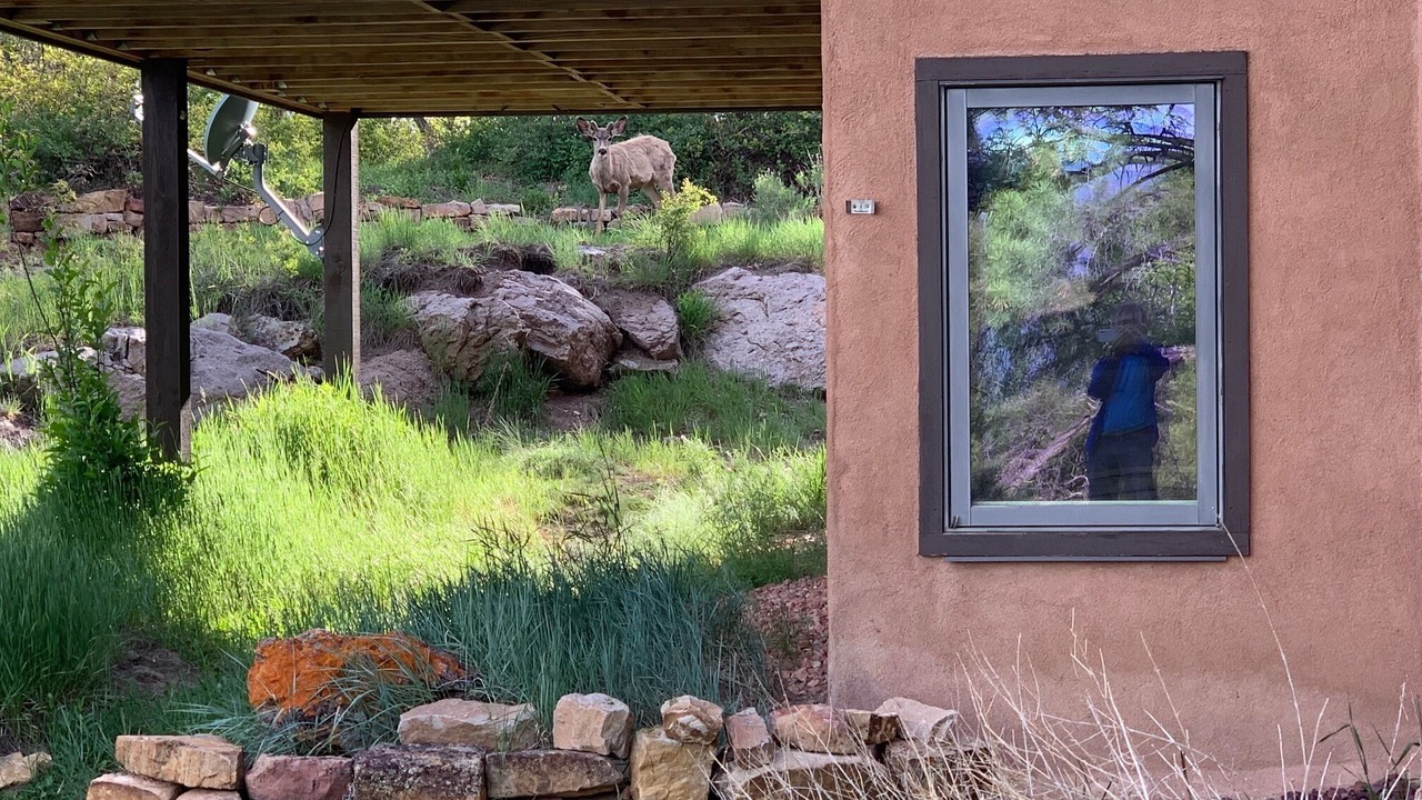 Photo of Outdoor in Elk Meadows