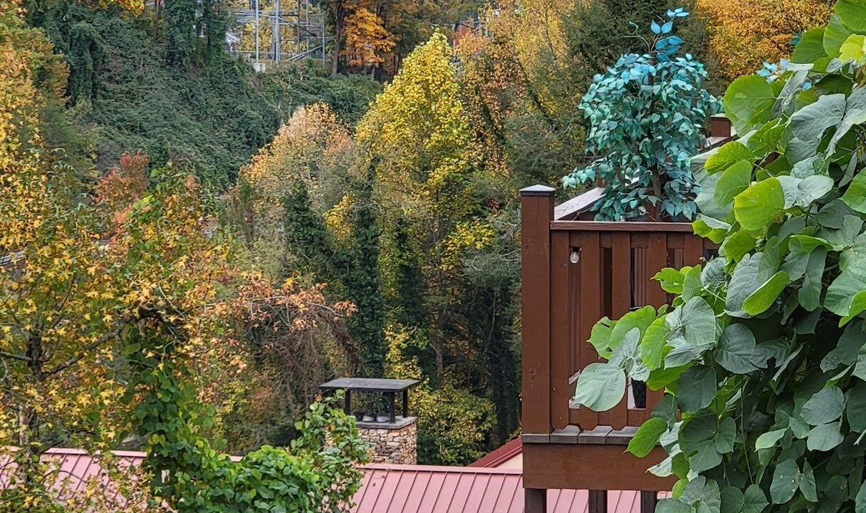 Photo of Others in Gatlinburg