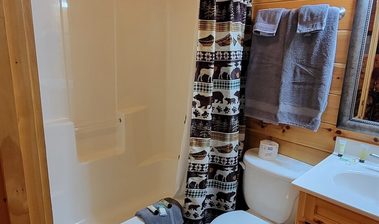 Photo of Bathroom in Gatlinburg