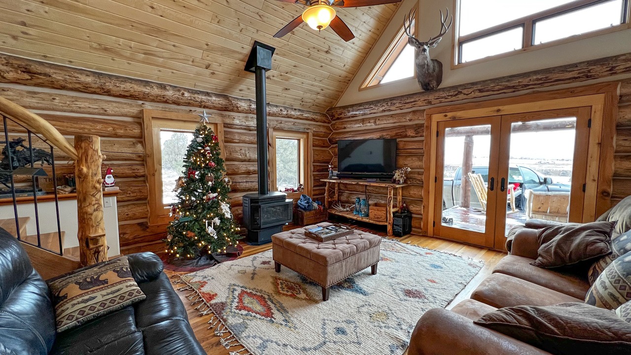 Photo of Livingroom in Mancos