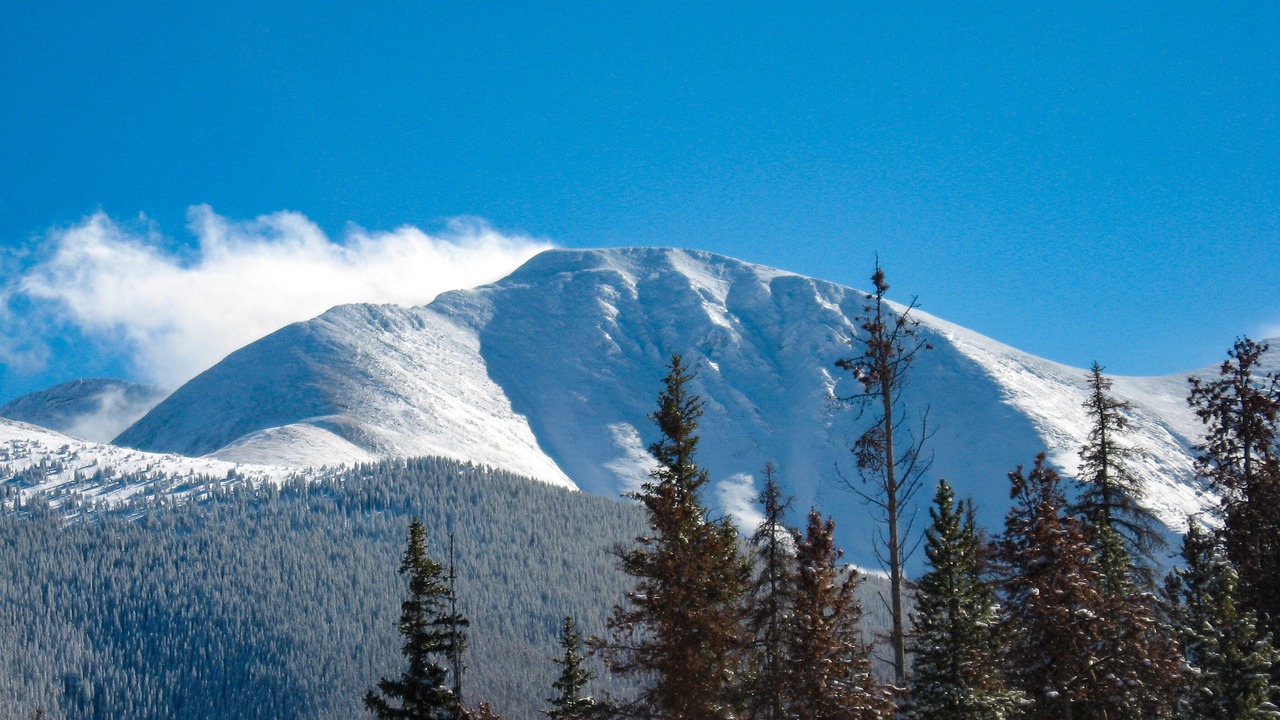 Photo of Others in Winter Park