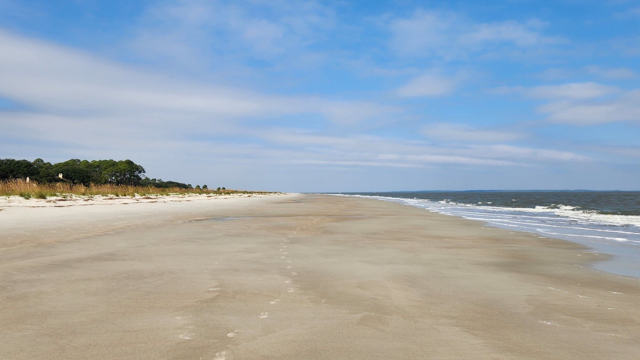 Photo of Others in Folly Field