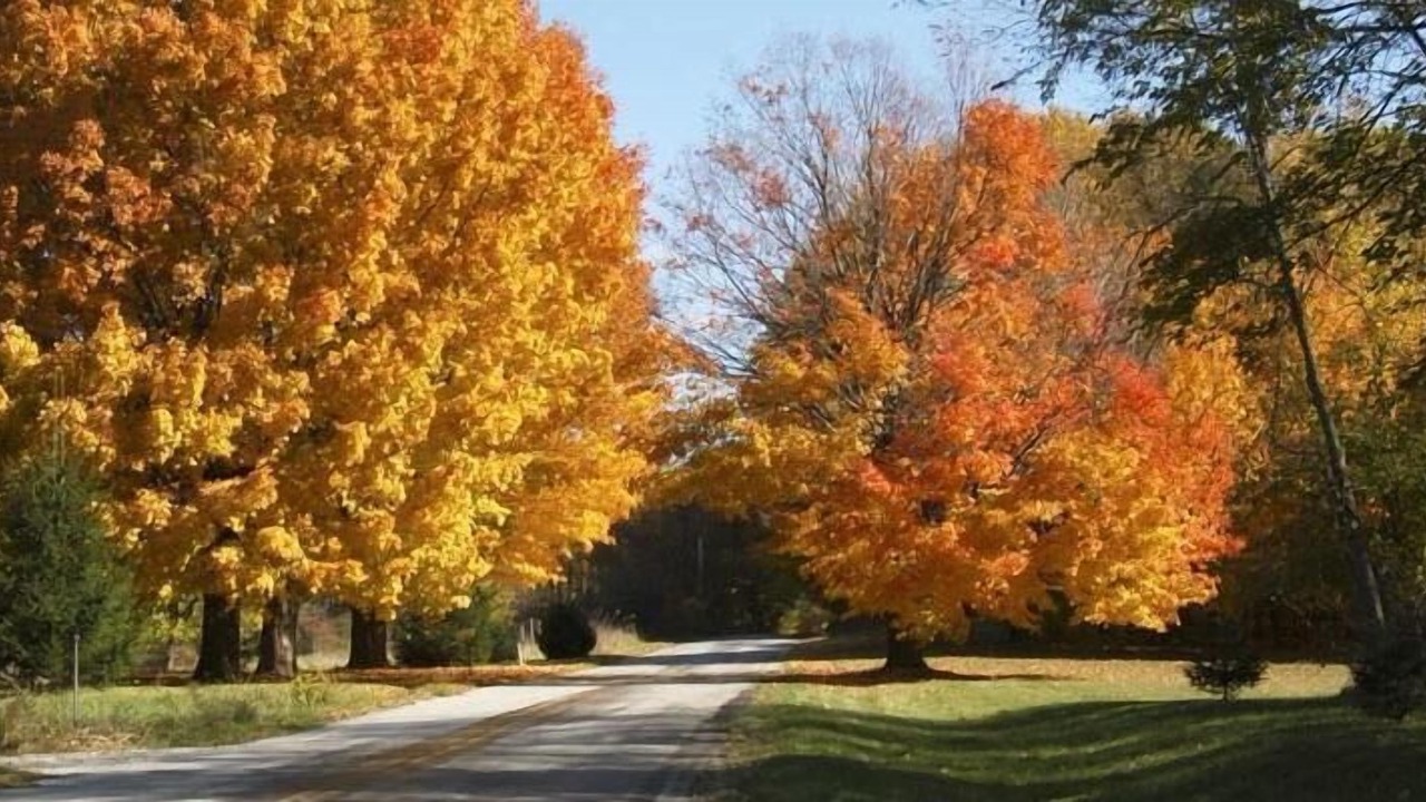 Photo of Others in Shorewood-Tower Hills-Harbert