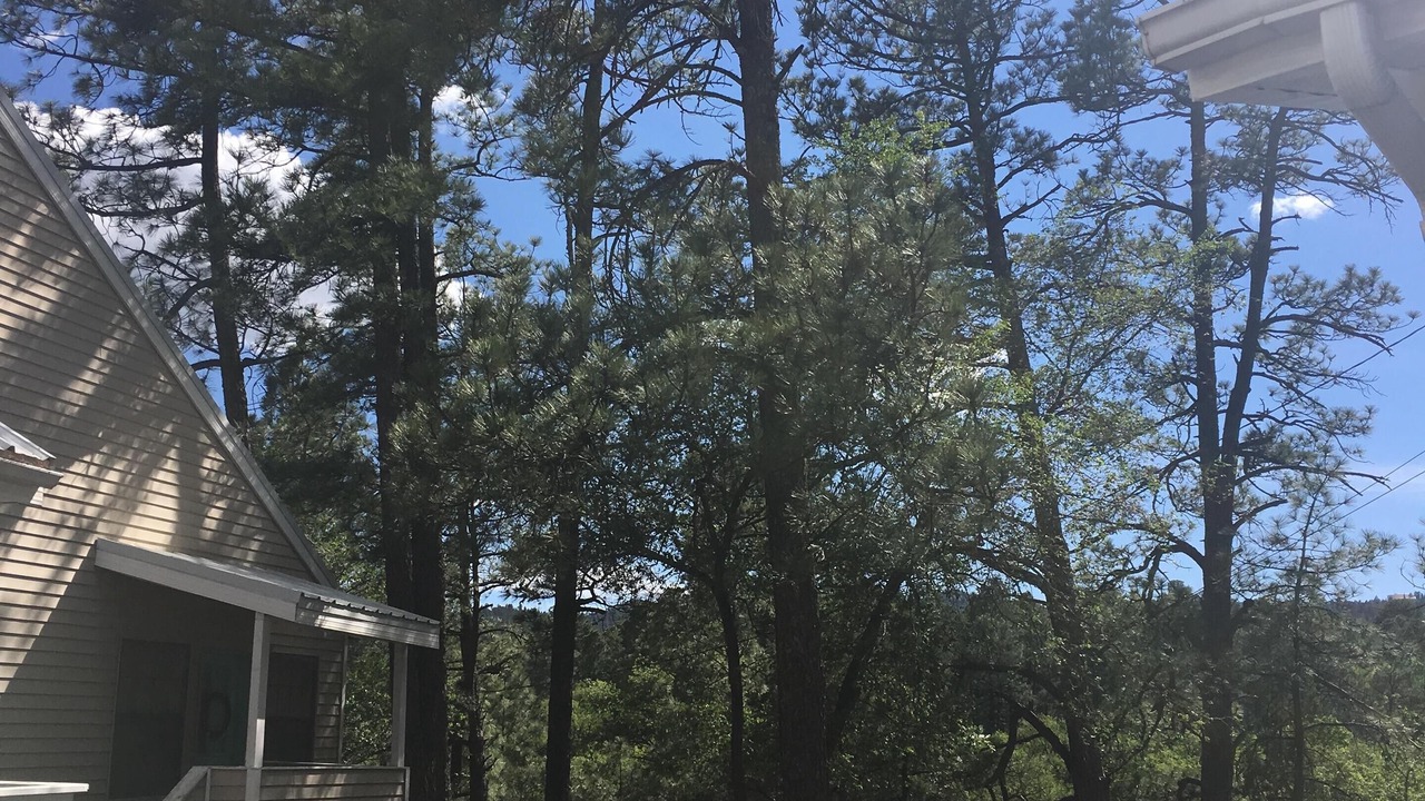 Photo of Outdoor in Ruidoso