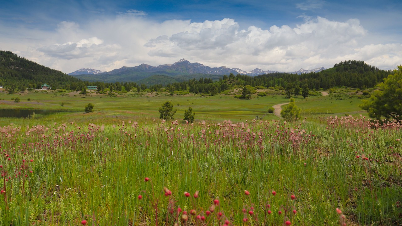 Photo of Others in Pagosa Springs
