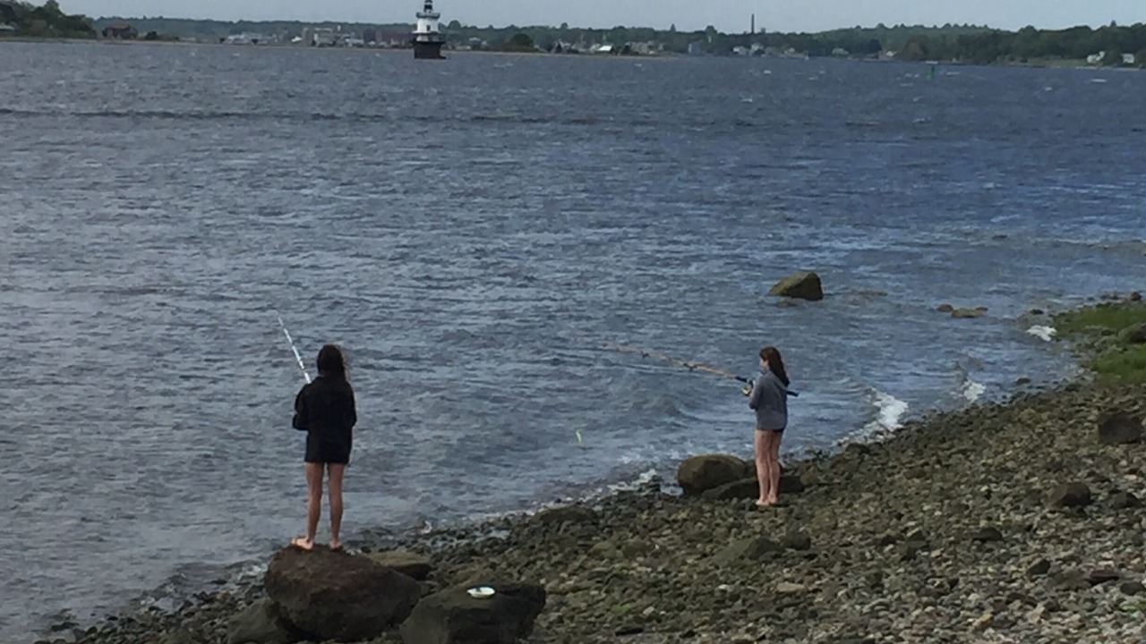 Photo of Others in Portsmouth