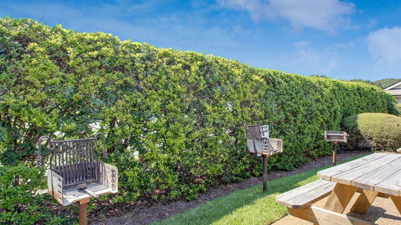 Photo of Outdoor in Amelia City