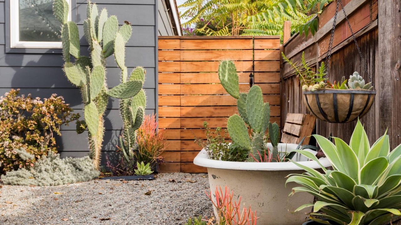 Photo of Outdoor in San Jose