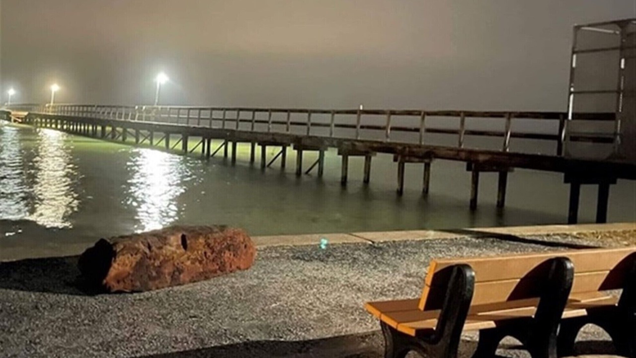 Photo of Others in Galveston