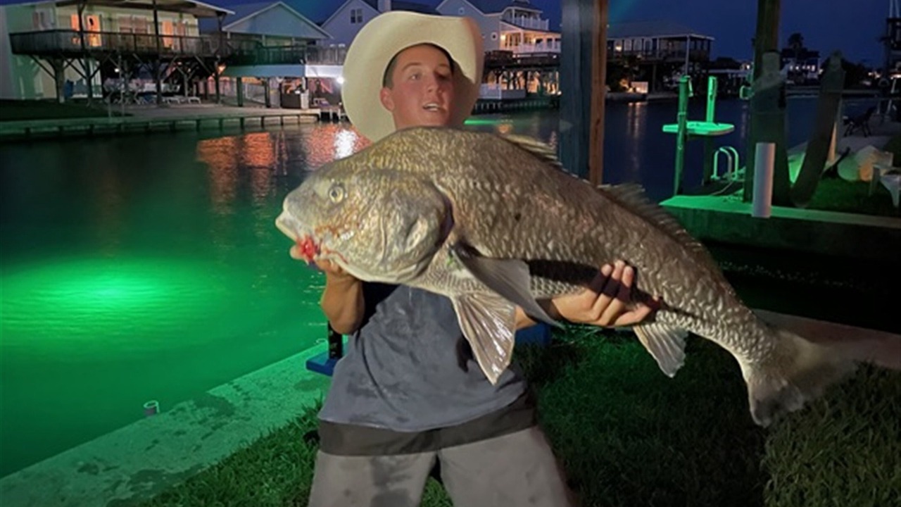 Photo of Others in Galveston