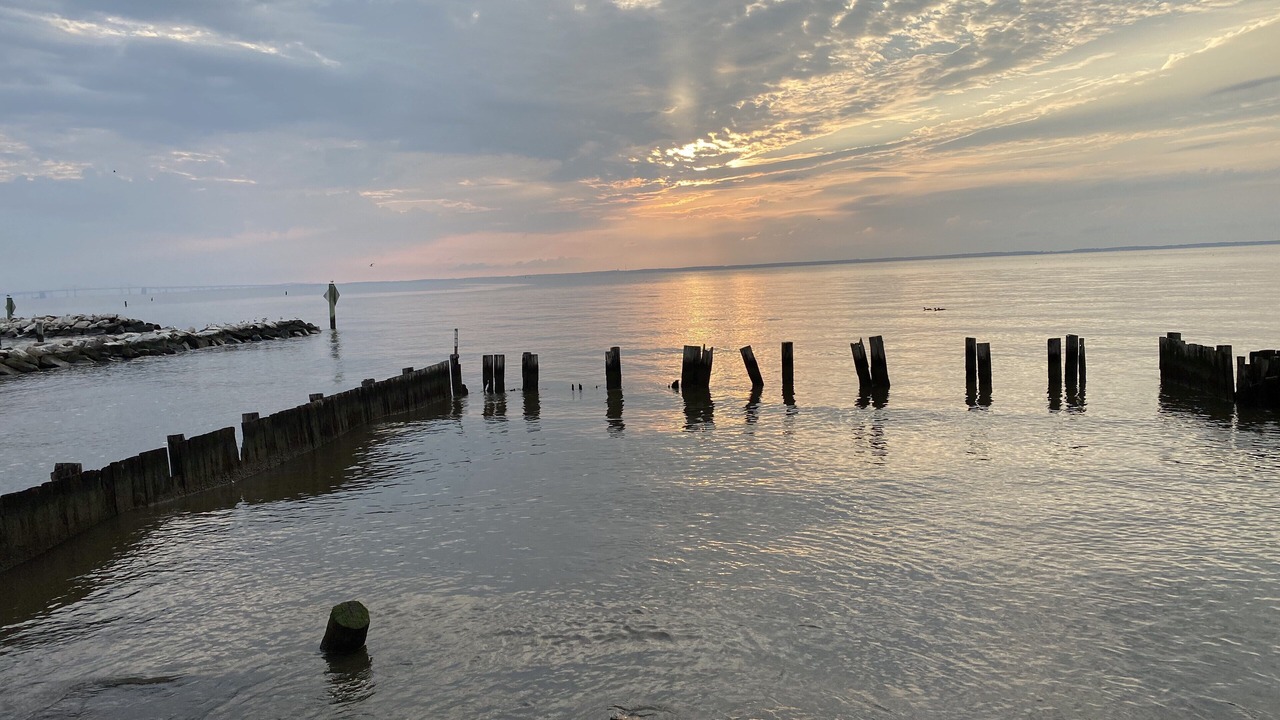 Photo of Others in Oyster Harbor