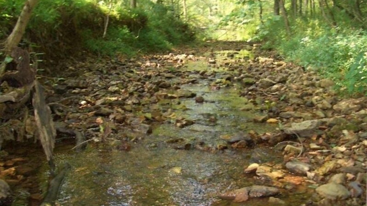 Photo of Others in Pulaski