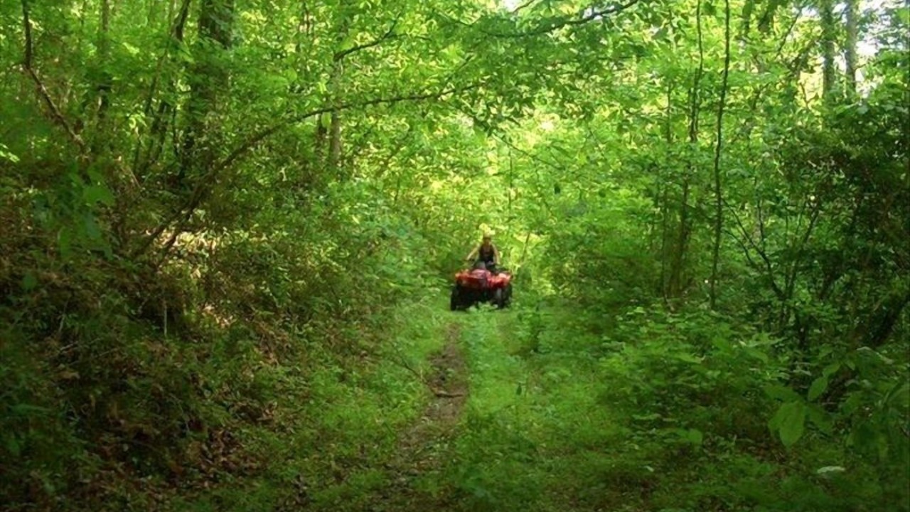 Photo of Outdoor in Pulaski