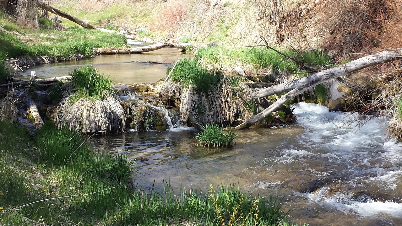 Photo of Outdoor in Glenwood Springs