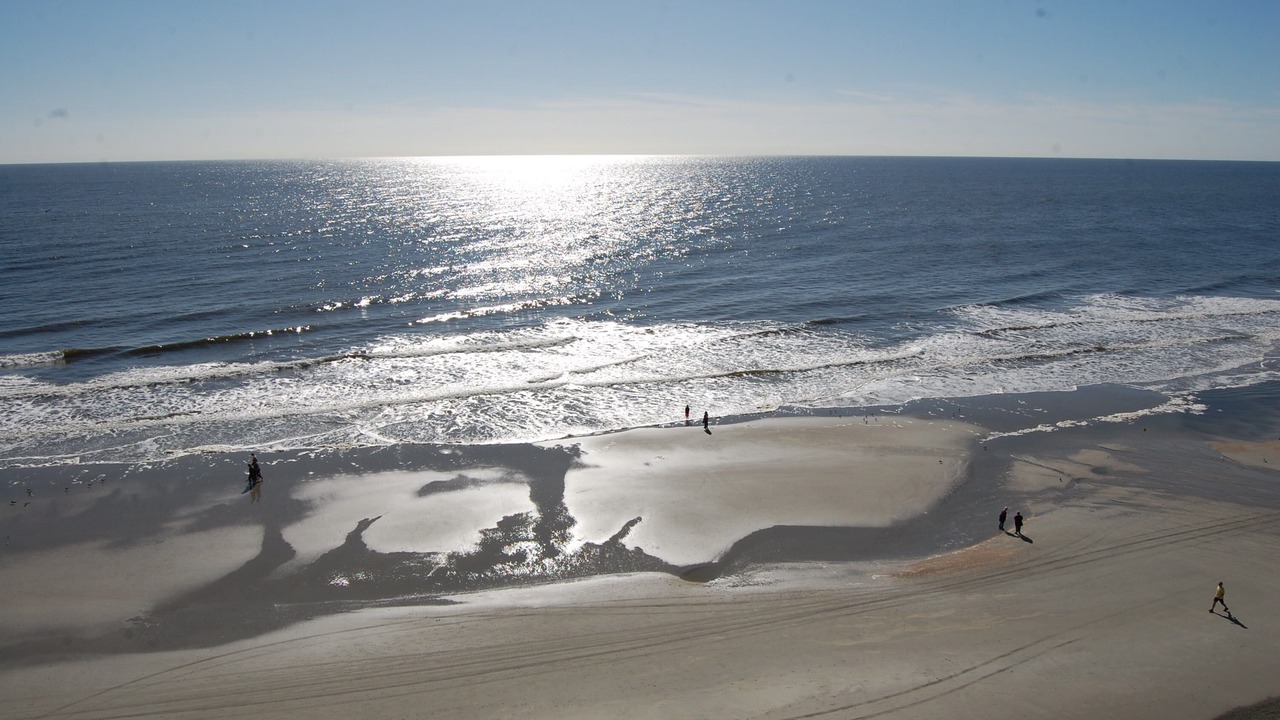 Photo of Others in Arcadian Shores