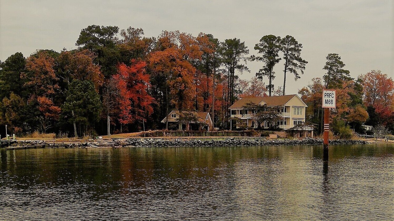 Photo of Others in Cobb Island