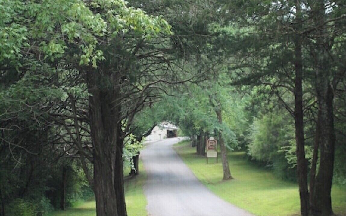 Photo of Outdoor in Kelso