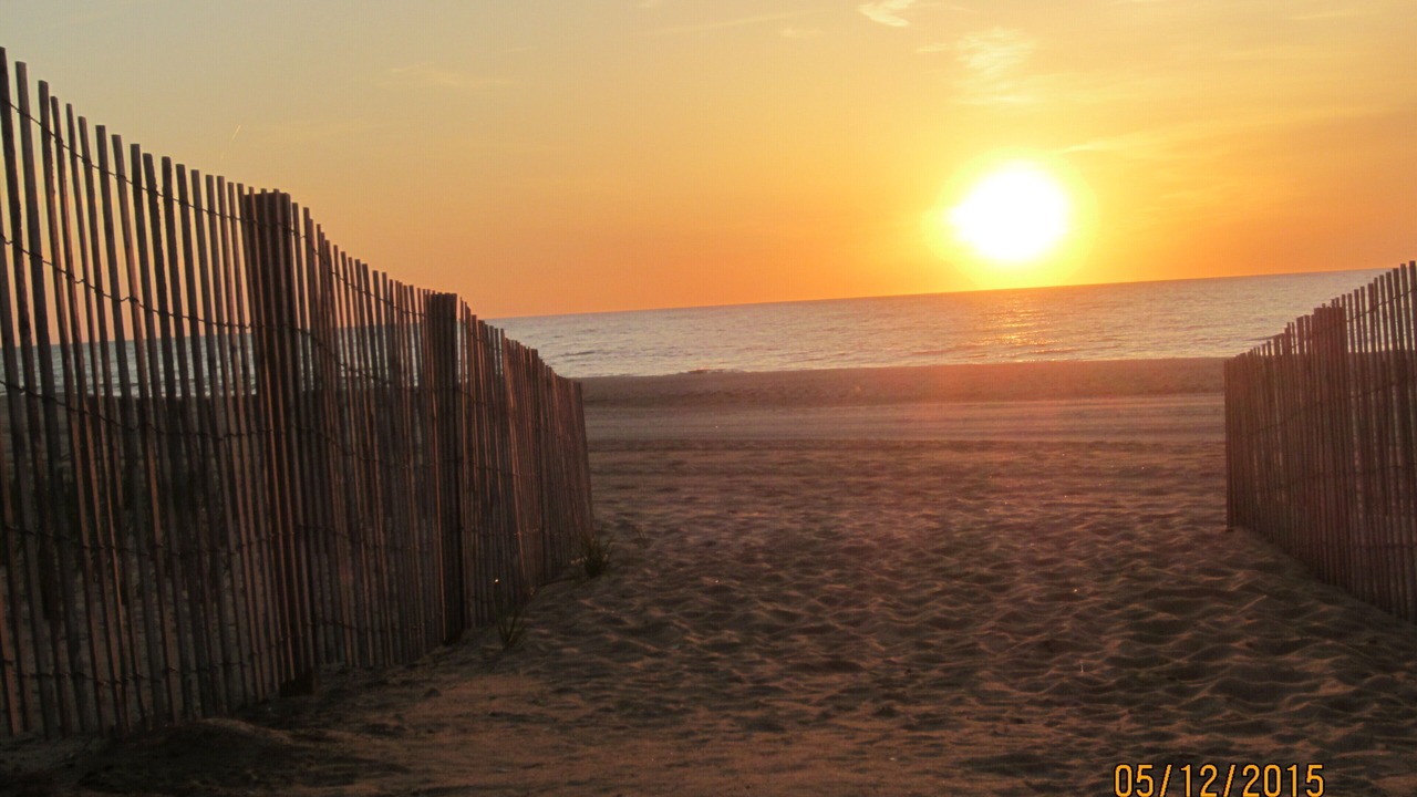 Photo of Others in North Ocean City