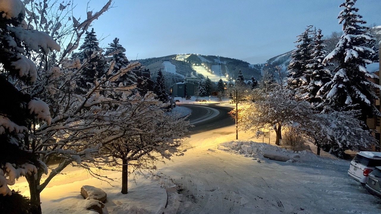 Photo of Others in North Park City