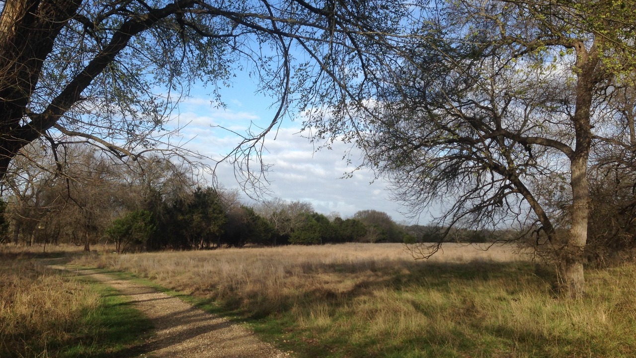 Photo of Outdoor in Sun City