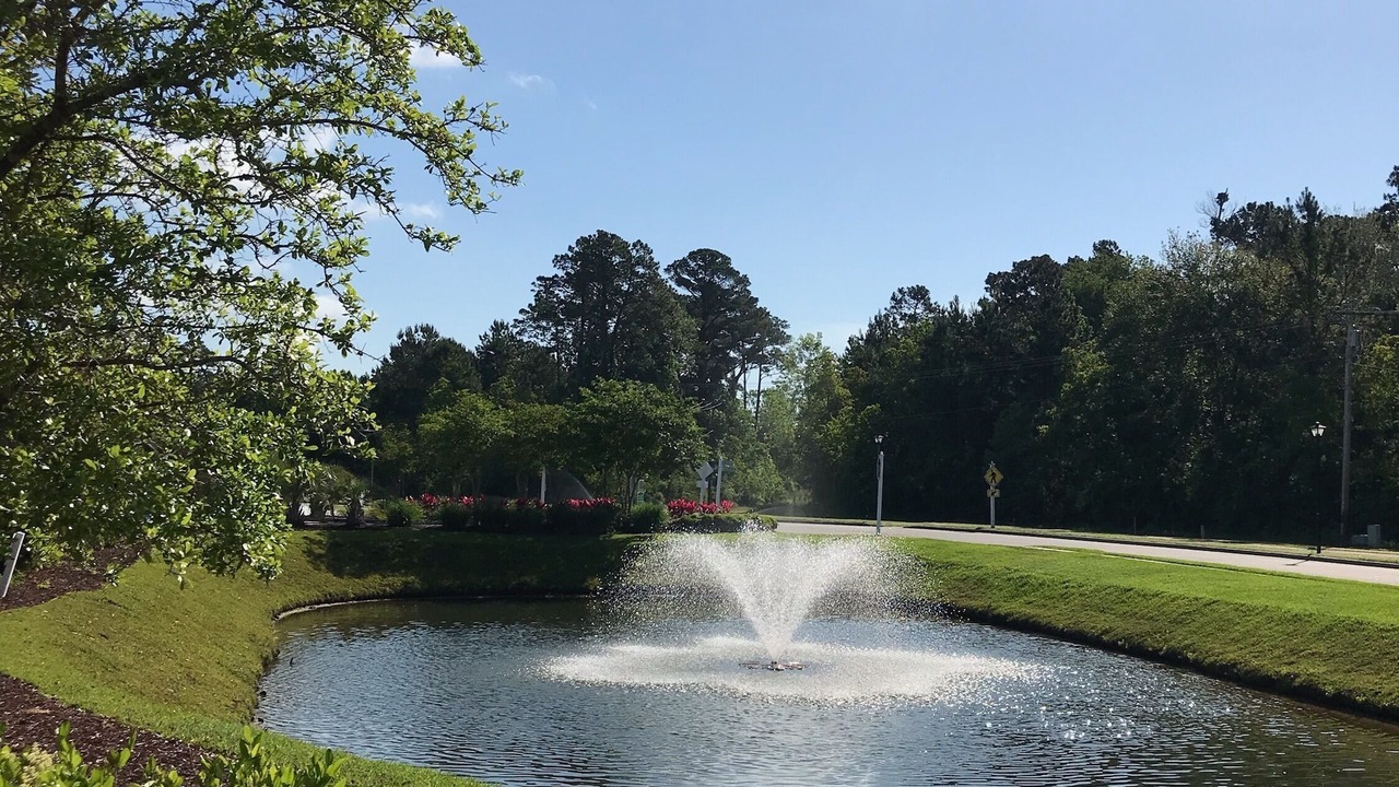 Photo of Outdoor in Central Myrtle Beach