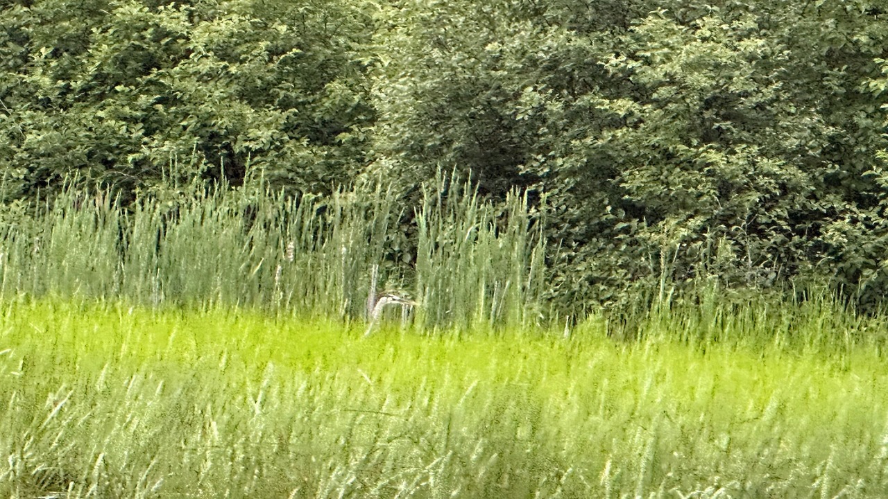Photo of Outdoor in Tomahawk