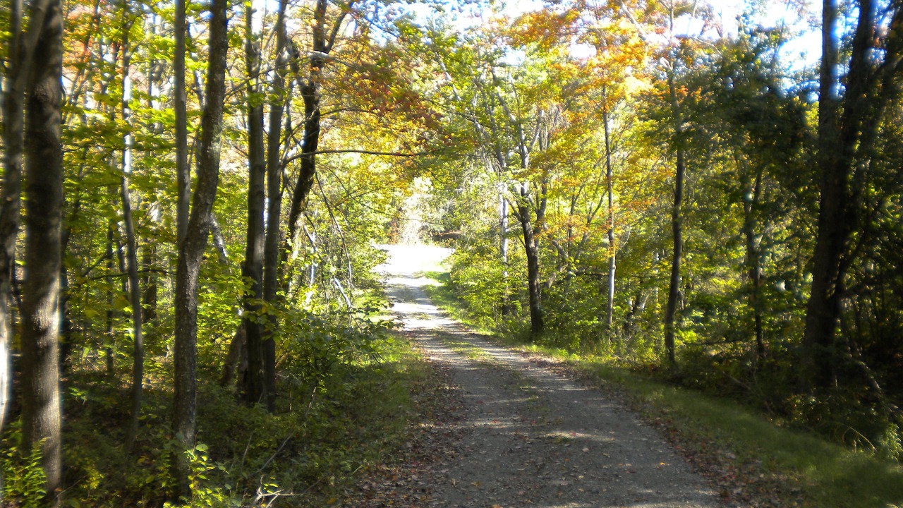 Photo of Outdoor in Hillsdale