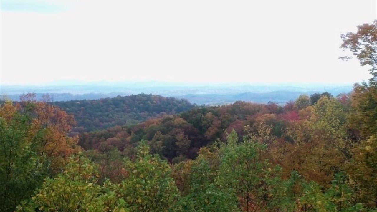 Photo of Others in Blue Ridge